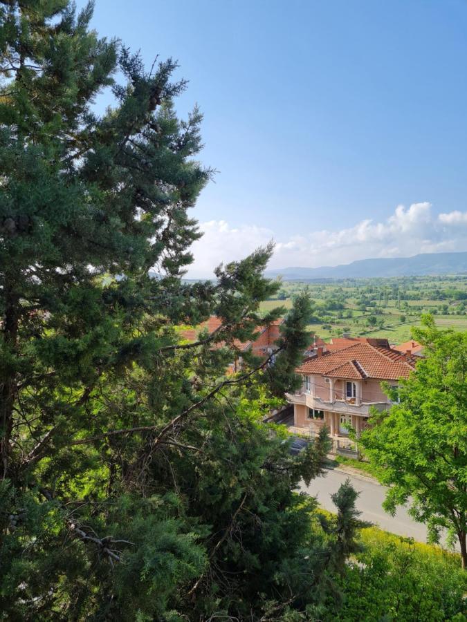 Bojana Apartment Negotino Kültér fotó