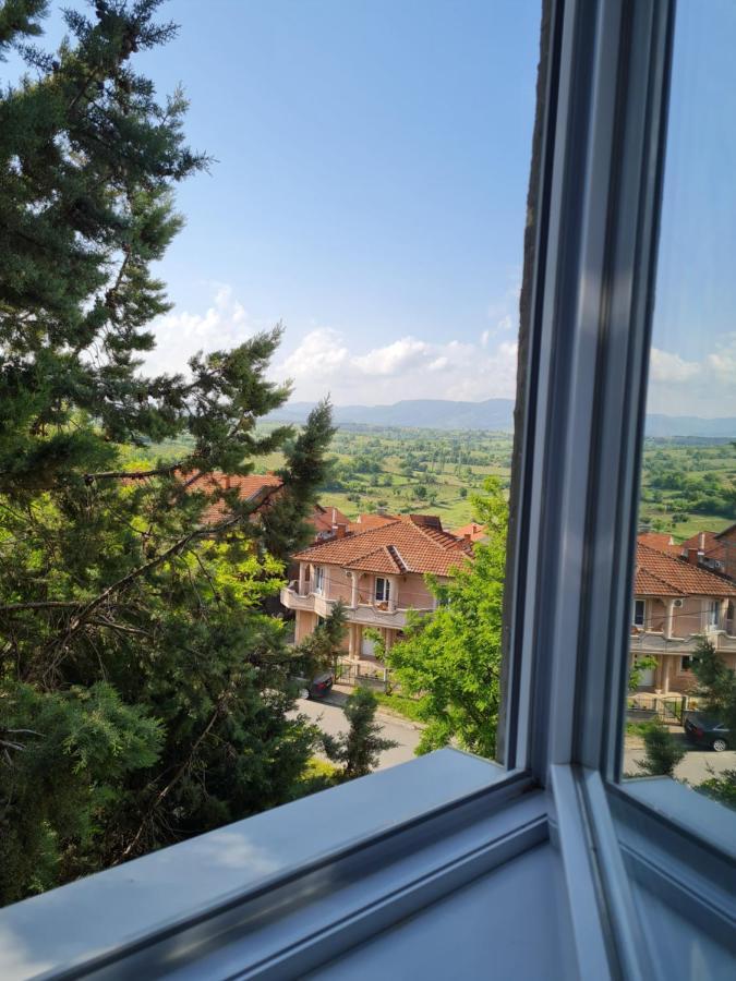 Bojana Apartment Negotino Kültér fotó